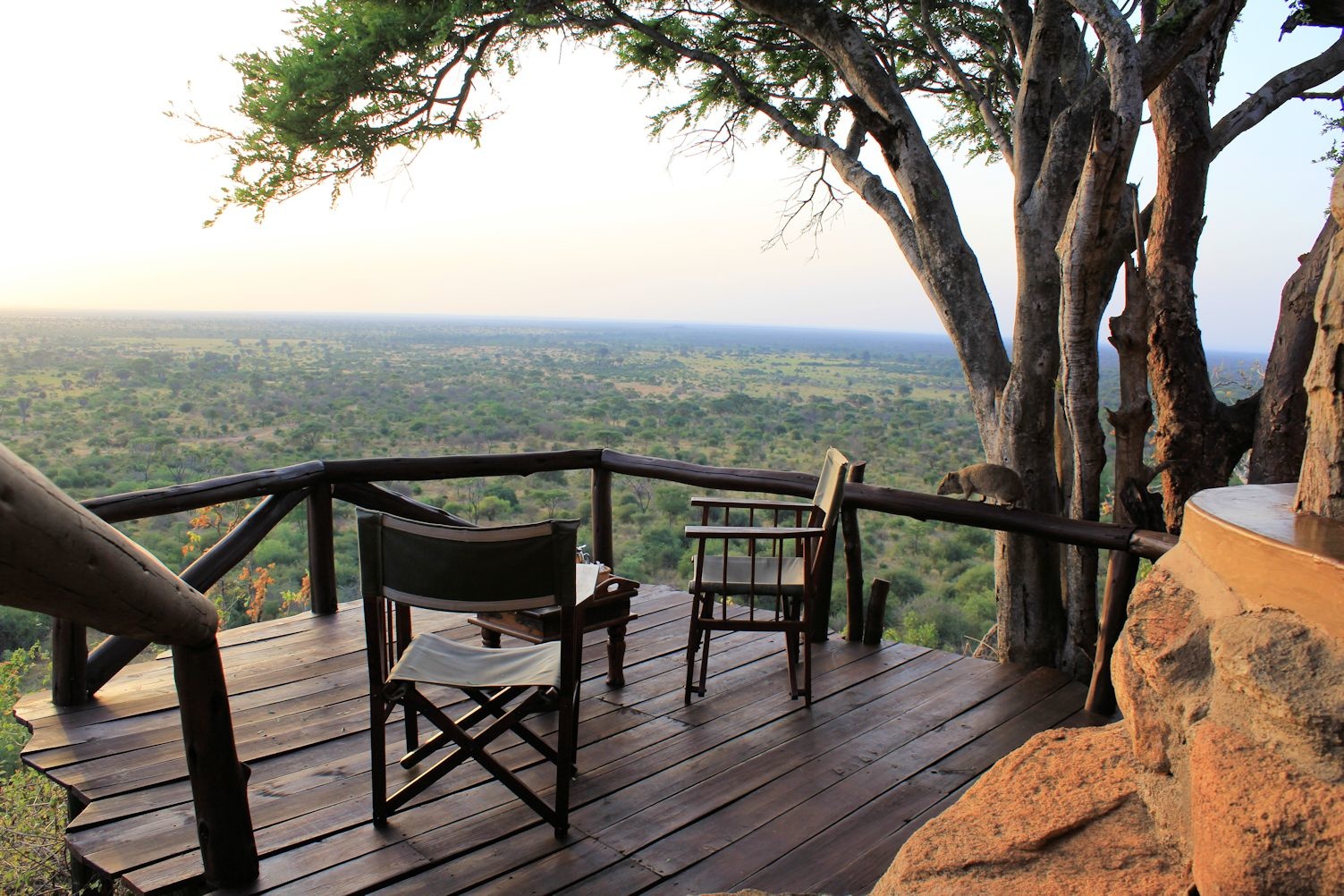 Elsa Kopje, Meru National Park — image 27 of 30